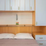 Sunny Apartment